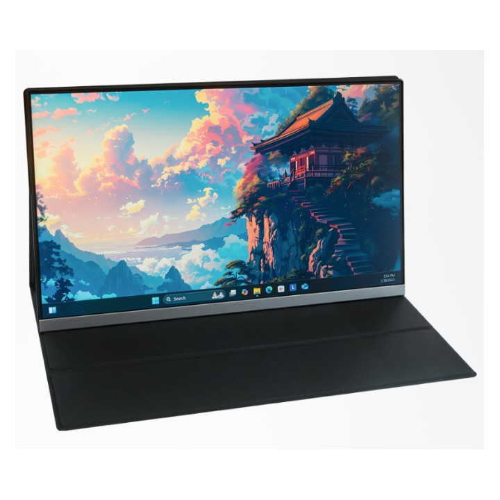 IPS 15.6 Inch Portable Monitor Type-C & HDMI