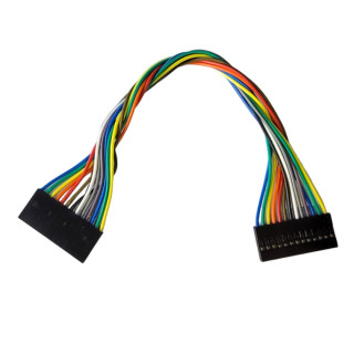 13P 20cm Female-to-Female DuPont Cable
