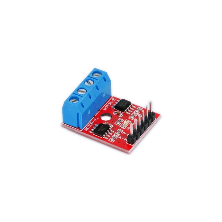 L9110S Dual Motor Driver Module